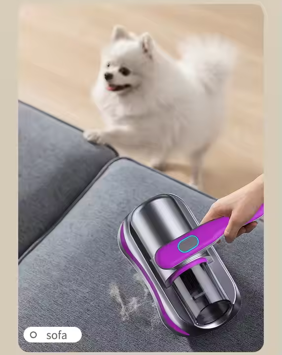 Best-selling handheld household vacuum mattress and sofa dust mite remover