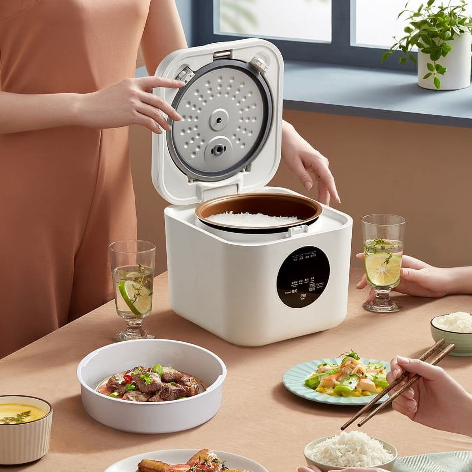 2L Electric Rice Cooker